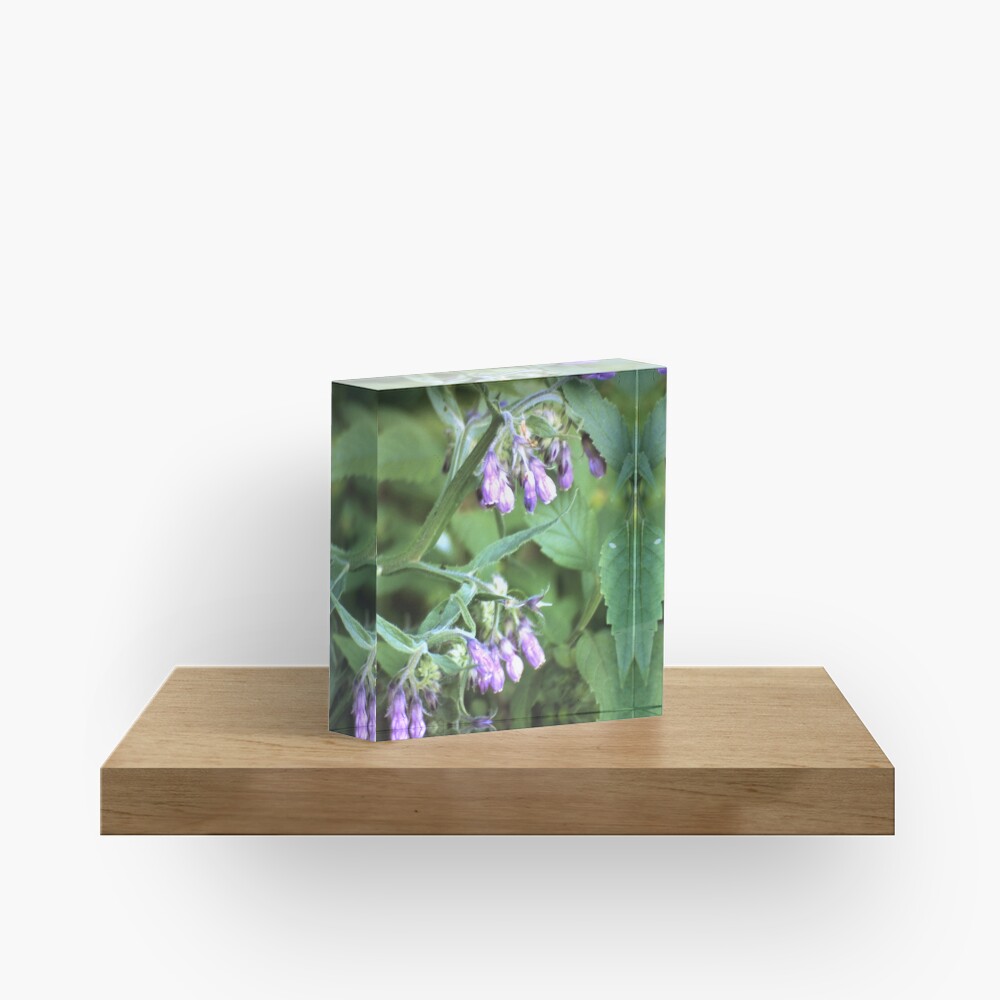 Beinwell Acrylblock