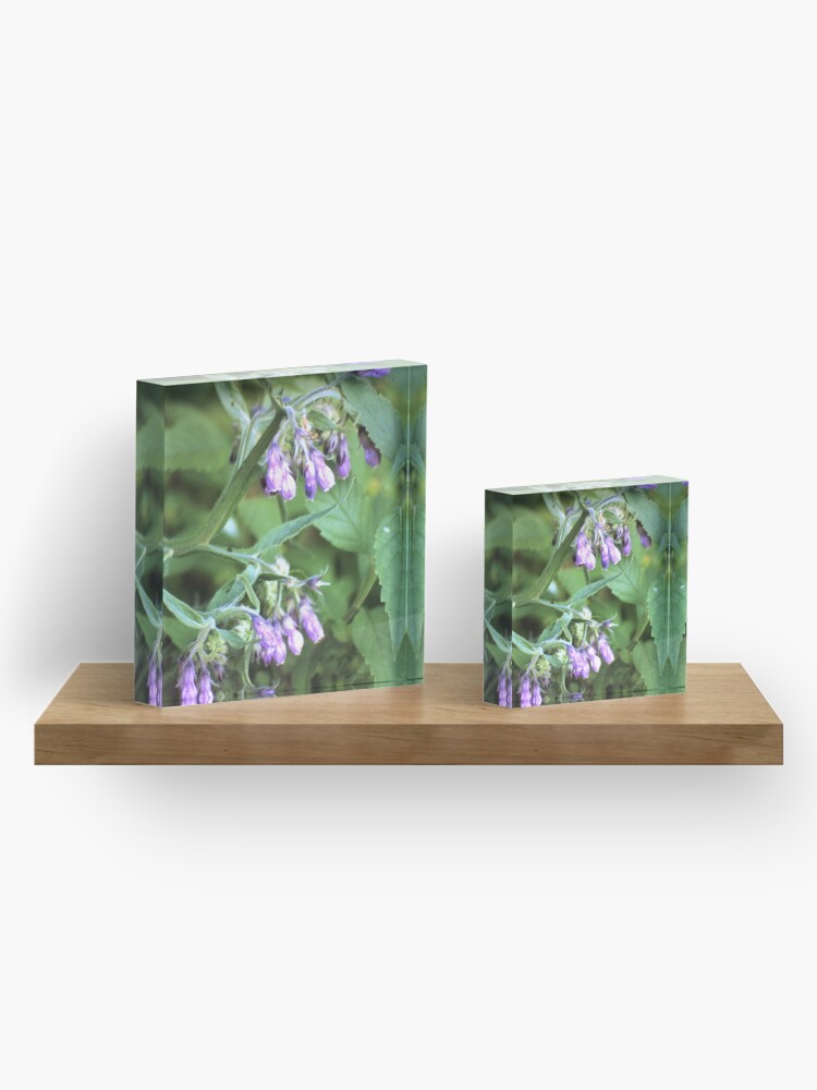 Alternative Ansicht von Beinwell Acrylblock
