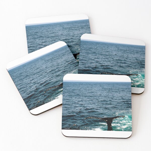 Item preview, whale tail designed and sold by KoyaHL.