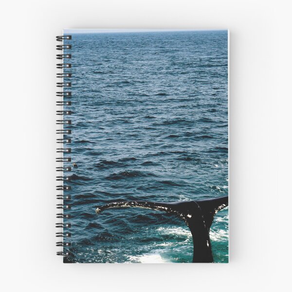 Item preview, whale tail designed and sold by KoyaHL.