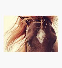Majesty Photographic Print