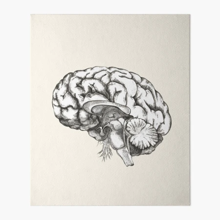 gbrf,10x12,f,540x540-pad,