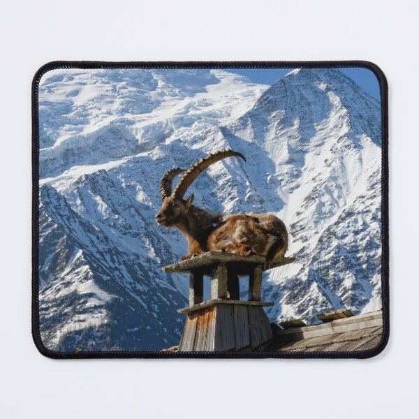 Item preview,  Extinct animal,Pyrenean Ibex,extinct, animal, animals,Pyrenean Ibex wall art,Pyrenean Ibex artwork, wild,Pyrenean Ibex, art,painting designed and sold by eyesight4vision.