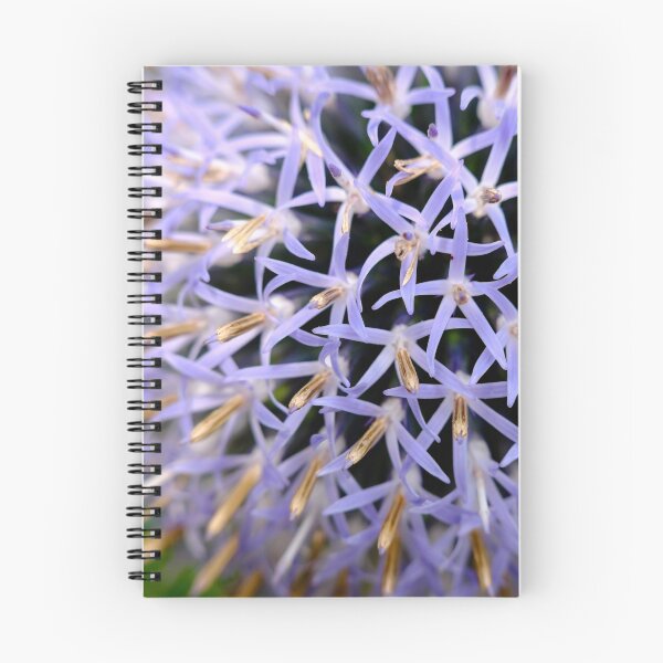 Item preview, Small Globe Thistle 8 designed and sold by Robert Alsop.