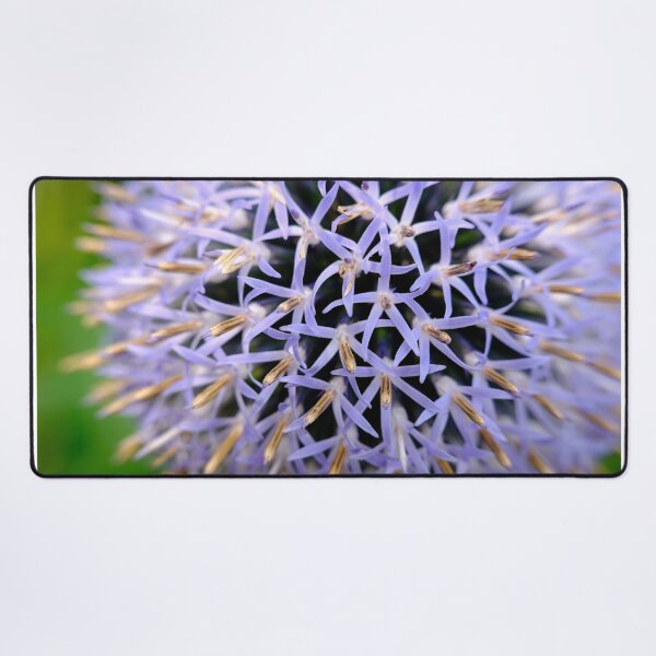 Item preview, Small Globe Thistle 8 designed and sold by Robert Alsop.