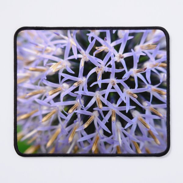 Item preview, Small Globe Thistle 8 designed and sold by Robert Alsop.