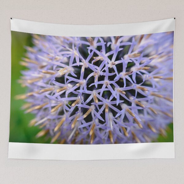 Item preview, Small Globe Thistle 8 designed and sold by Robert Alsop.