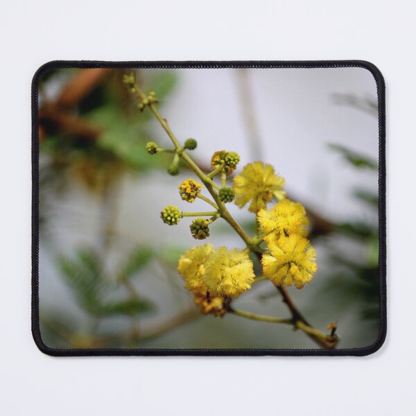 Item preview, Gum Arabic Flowers. designed and sold by VgBingi.