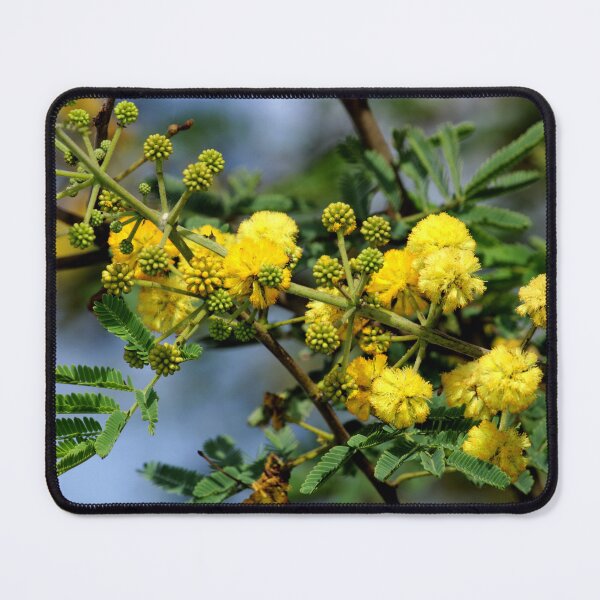Item preview, Gum Arabic Flowers. designed and sold by VgBingi.