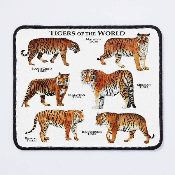 Item preview, Tigers of the World designed and sold by AzalaiBubbles.