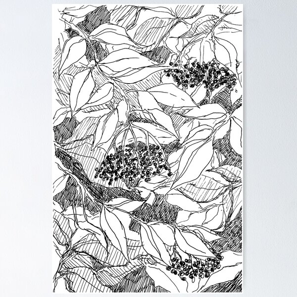 elderberry holiday-themed pattern pen and ink traditional art sketch Poster