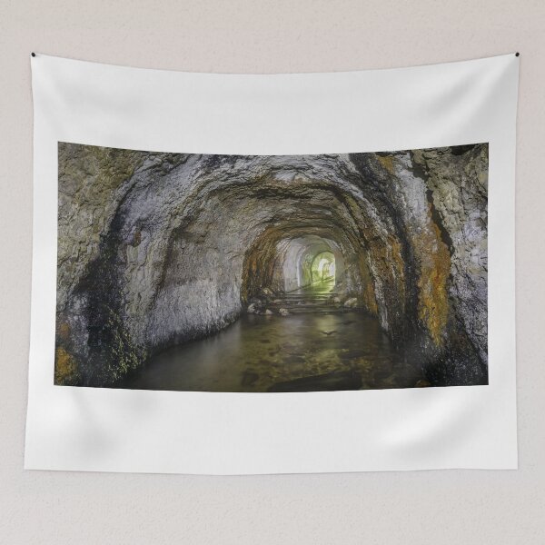 Item preview, Abandoned Ocean Shore Railroad Creek Tunnel designed and sold by yhelfman.