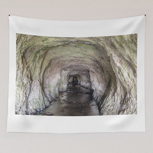 Item preview, Abandoned Ocean Shore Railroad Creek Tunnel designed and sold by yhelfman.