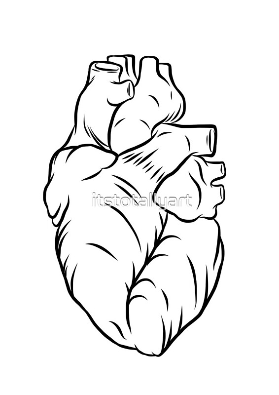 "realistic heart outline" by itstotallyart | Redbubble