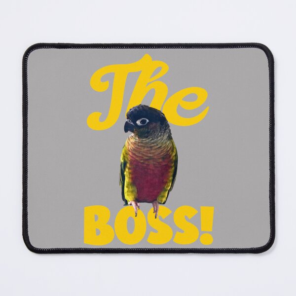 Item preview, The Boss Green Cheek Conure design | Conure | Small Parrot | Parakeet | Parrot lover designed and sold by TatianaLG.