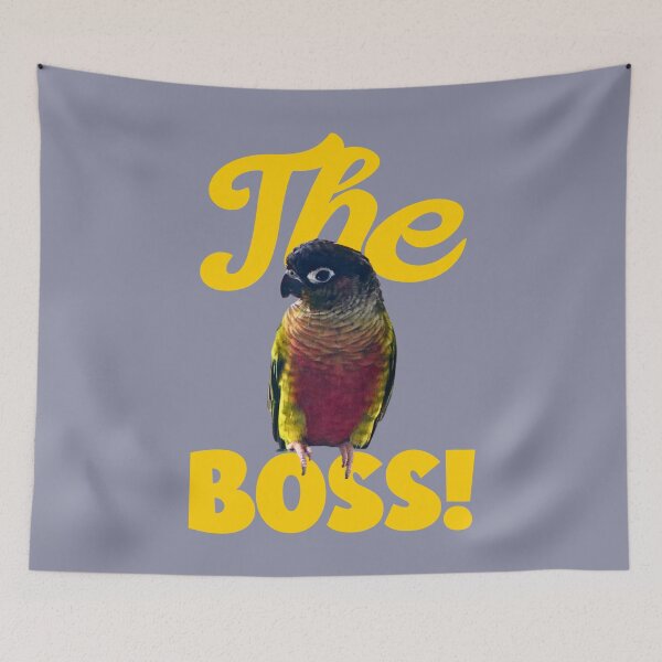 Item preview, The Boss Green Cheek Conure design | Conure | Small Parrot | Parakeet | Parrot lover designed and sold by TatianaLG.