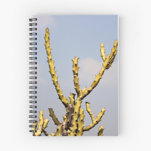Item preview, Thorny Cactus designed and sold by VgBingi.