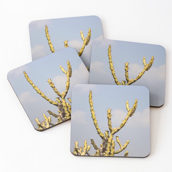 Item preview, Thorny Cactus designed and sold by VgBingi.