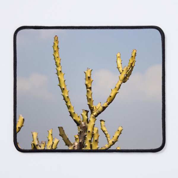Item preview, Thorny Cactus designed and sold by VgBingi.