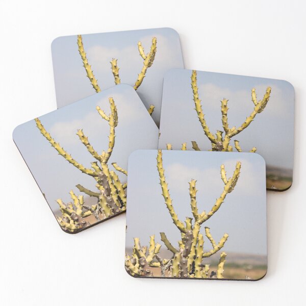 Item preview, Thorny Cactus designed and sold by VgBingi.