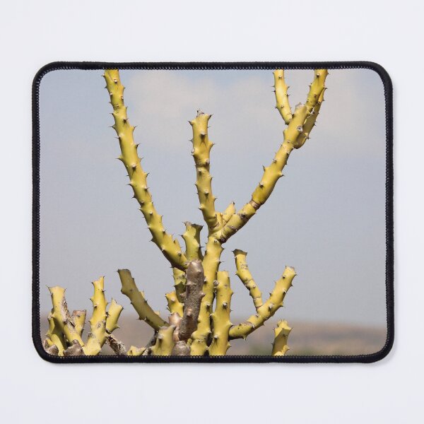 Item preview, Thorny Cactus designed and sold by VgBingi.
