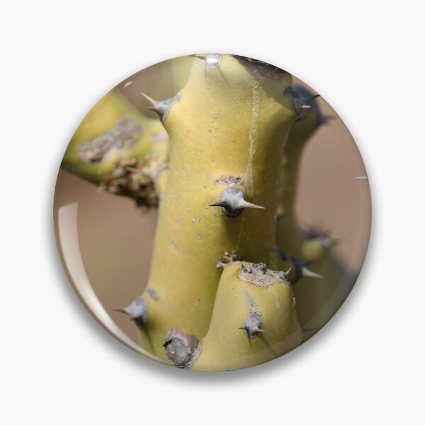 Item preview, Thorny Cactus designed and sold by VgBingi.