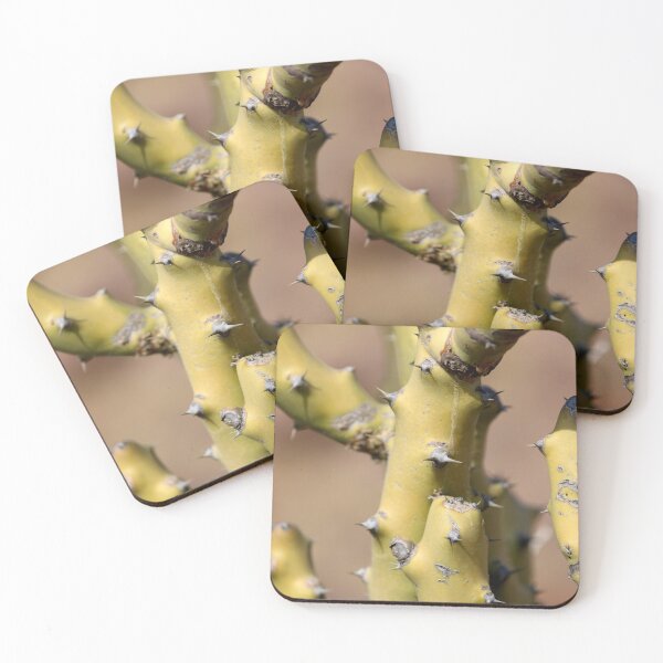 Item preview, Thorny Cactus designed and sold by VgBingi.