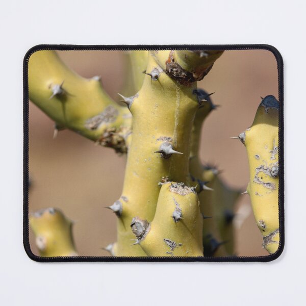 Item preview, Thorny Cactus designed and sold by VgBingi.