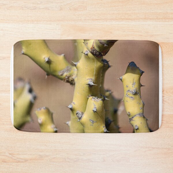 Item preview, Thorny Cactus designed and sold by VgBingi.