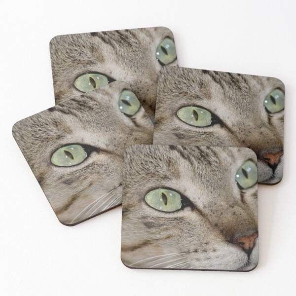 Item preview, Cat Portrait designed and sold by VgBingi.