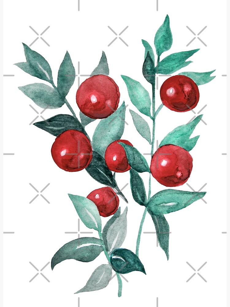 Red berries Poster