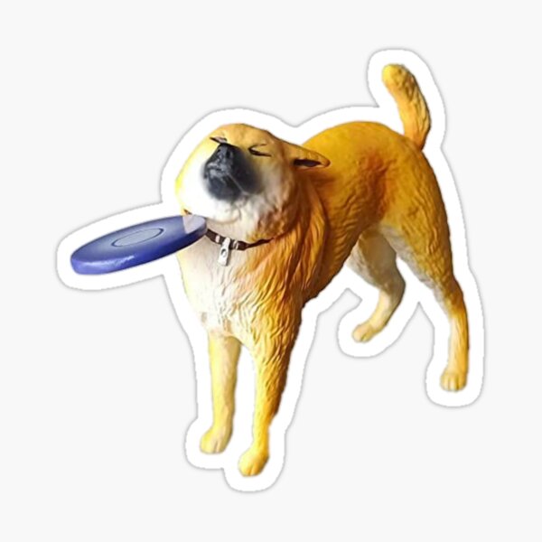 marmelade konkurs nakke Frisbee Dog Meme Gifts & Merchandise for Sale | Redbubble