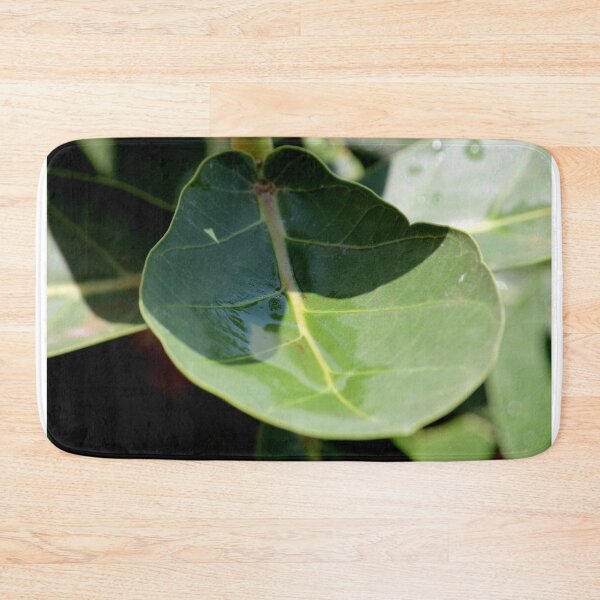 Item preview, Calotropis Gigantea Plant Leaf. designed and sold by VgBingi.