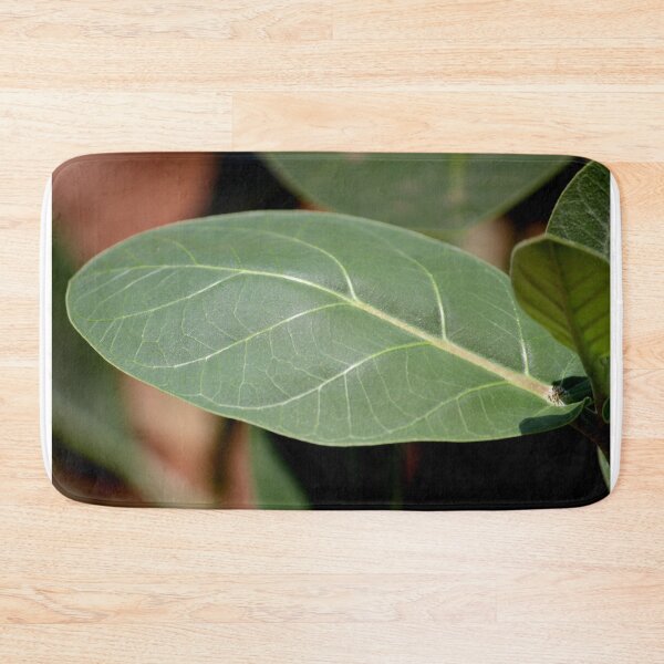 Item preview, Calotropis Gigantea Plant Leaf. designed and sold by VgBingi.
