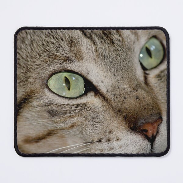Item preview, Cat Portrait designed and sold by VgBingi.