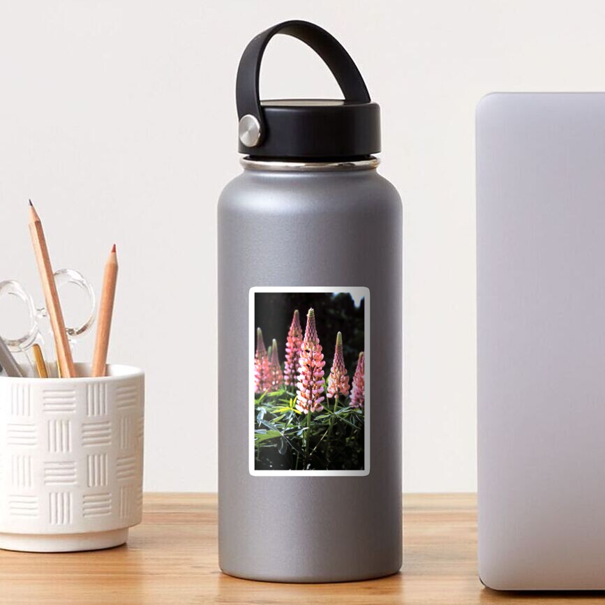 Lupinen-Blüten Sticker