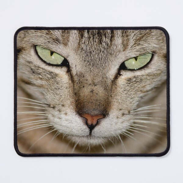 Item preview, Cat Portrait designed and sold by VgBingi.