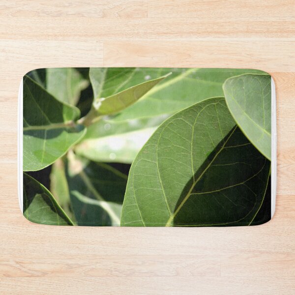 Item preview, Calotropis Gigantea Plant Leaves. designed and sold by VgBingi.