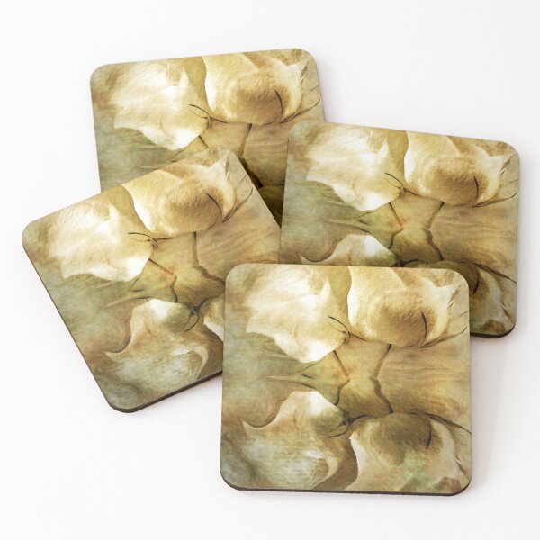 Item preview, Rose Reflections designed and sold by CarolM.