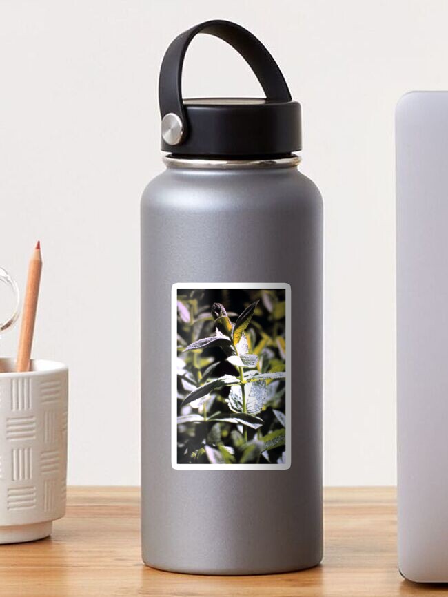 Thumbnail 1 von 3, Sticker, Pfeffer-Minze designt und verkauft von Gourmetkater.