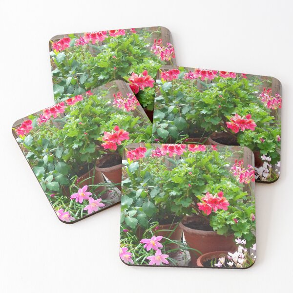 Item preview, Red and pink flowers in terracotta pots. designed and sold by claireseyeview.