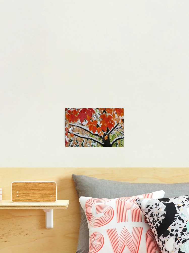 Thumbnail 2 of 3, Photographic Print, Fall Rise designed and sold by Shell59.