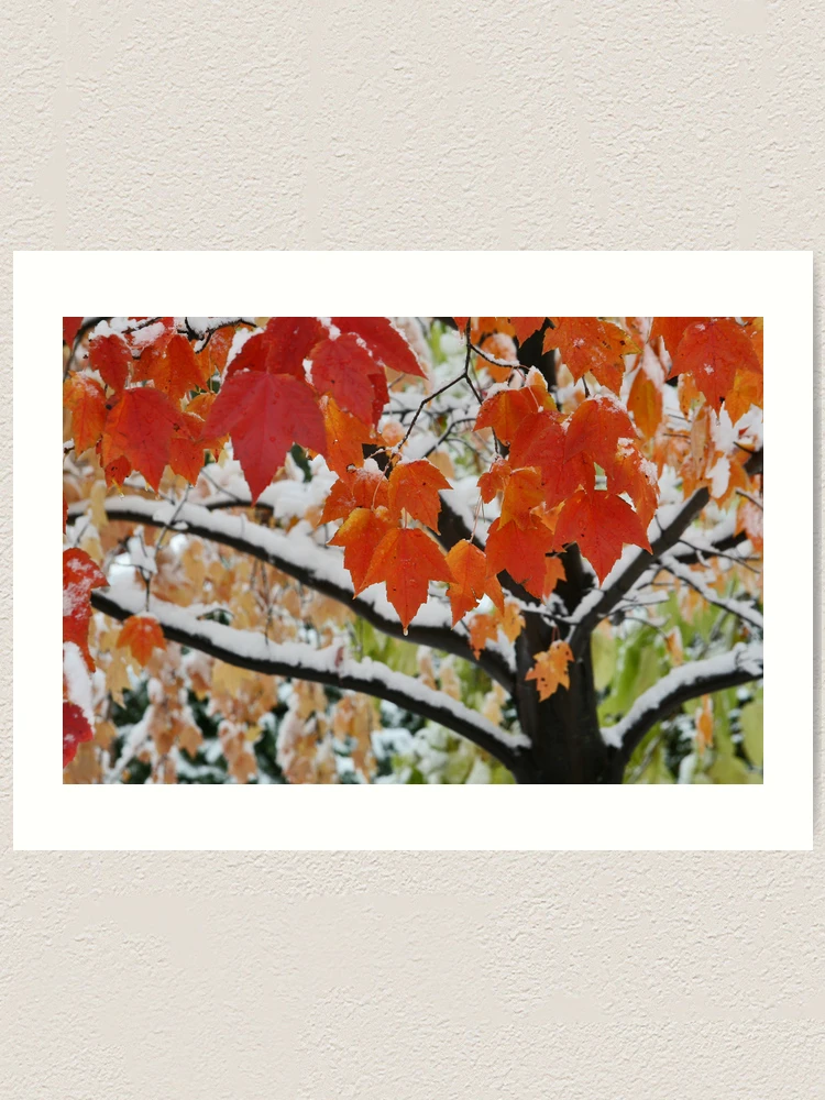 Thumbnail 1 of 3, Art Print, Fall Rise designed and sold by Shell59.