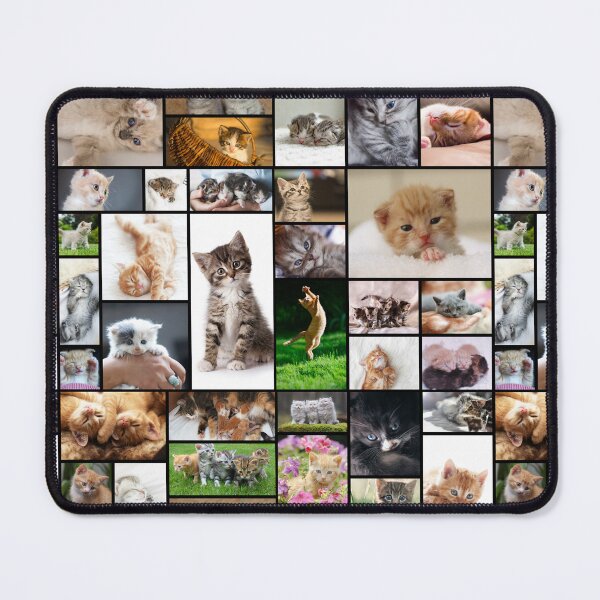 Item preview, Cute Kitten Pattern Photo Collage designed and sold by sweetbelle.