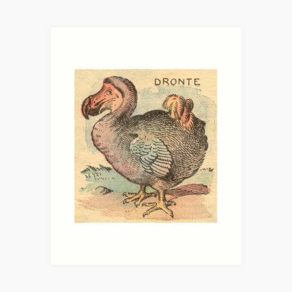 Item preview, Dodo designed and sold by Donkey's Salad.