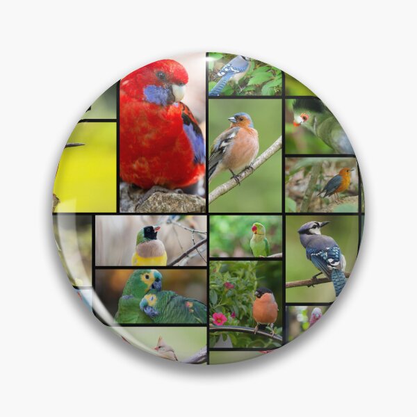 Item preview, Cute Bird Pattern Photo Collage designed and sold by sweetbelle.