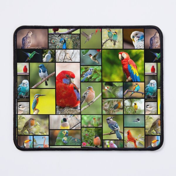 Item preview, Cute Bird Pattern Photo Collage designed and sold by sweetbelle.