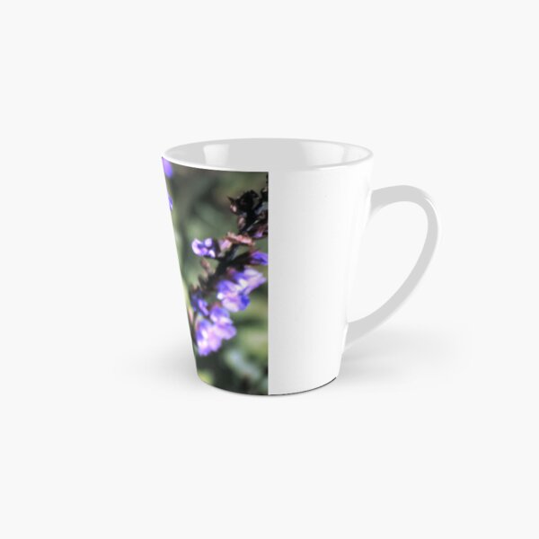 Blüte des Salbei Tasse (konisch)