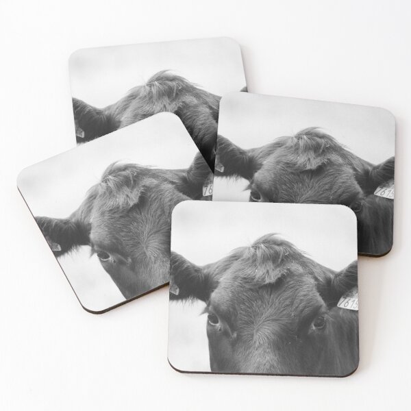 Item preview, Black Angus cow designed and sold by NiekTraas.