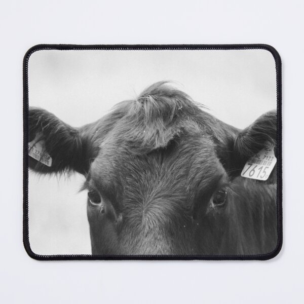 Item preview, Black Angus cow designed and sold by NiekTraas.